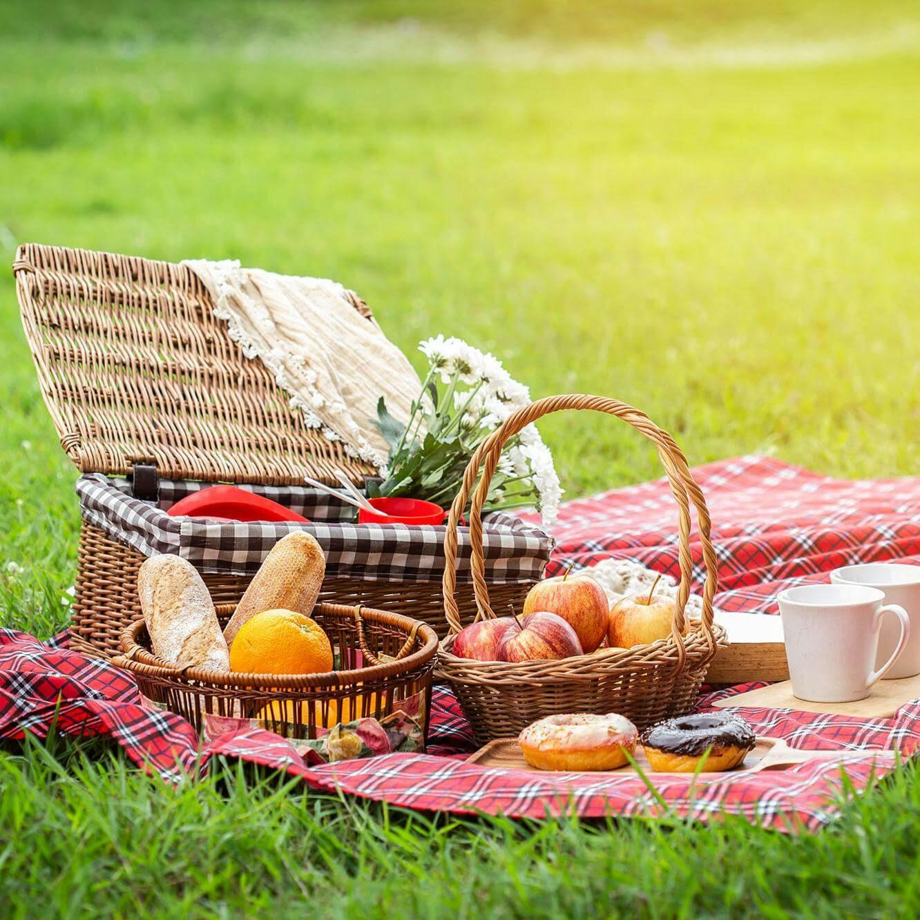 Bjud på picknick